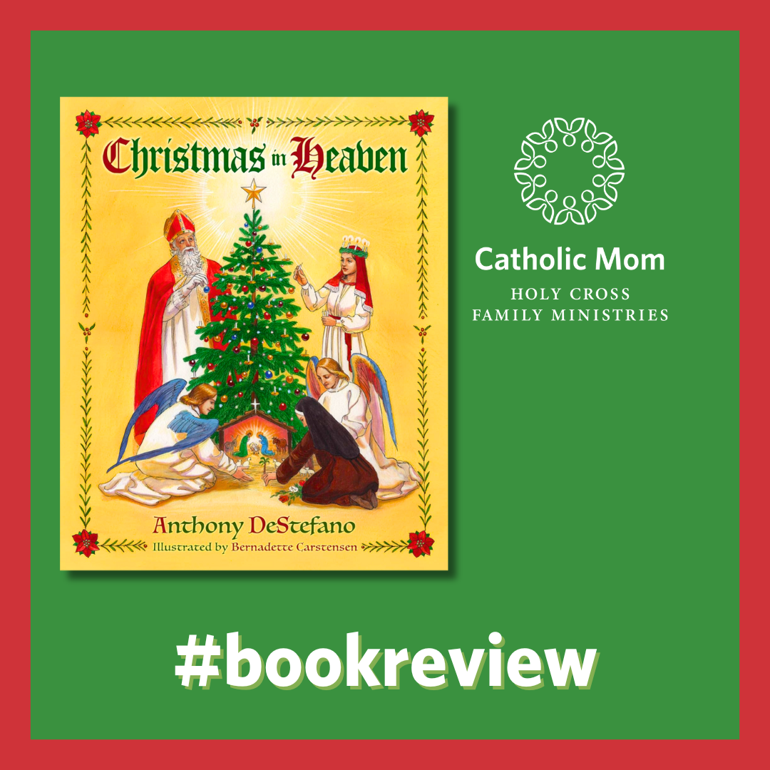 Christmas in Heaven Good News Book Fair Good Clean Reads!
